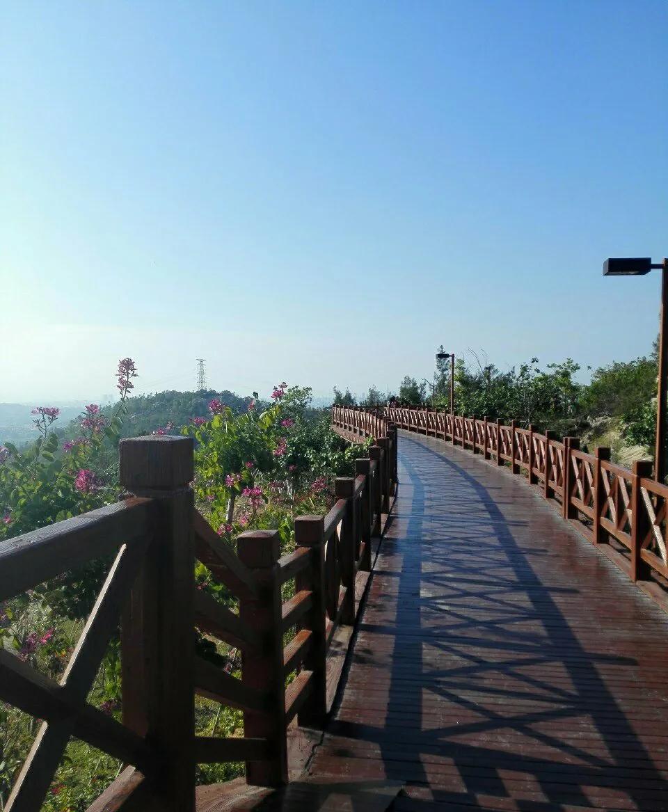 厦门香山有什么风景,厦门翔安必去8个景点香山