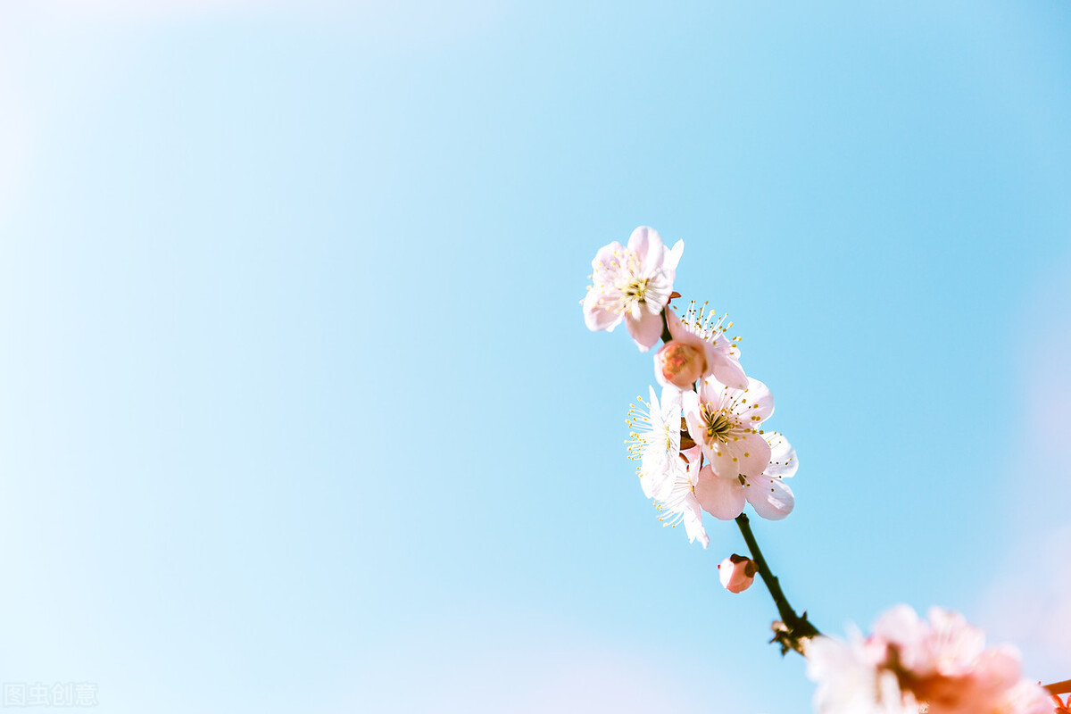 微甜的套路推文,推文言情小甜饼