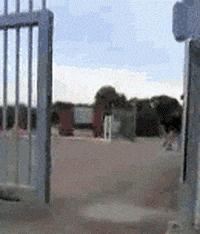 搞笑gif你们这些城里人太会玩了,搞笑gif逗比的世界你永远理解不了