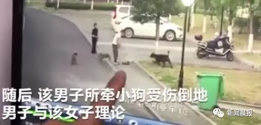 与狗狗玩耍时不小心被狗狗刮伤,养狗不拴绳一家三口遭恶犬咬伤