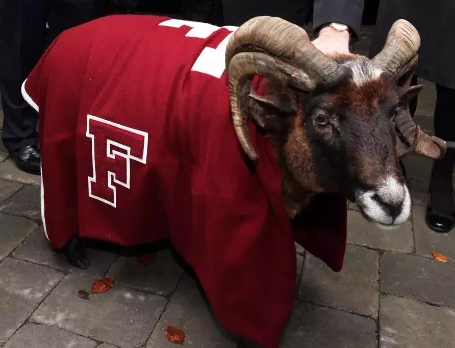 fordham大学申请,fordham大学美国排名