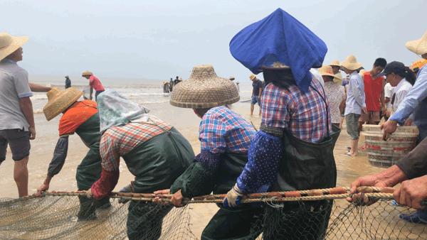 吴阳拉大网后续,吴阳直播海鲜