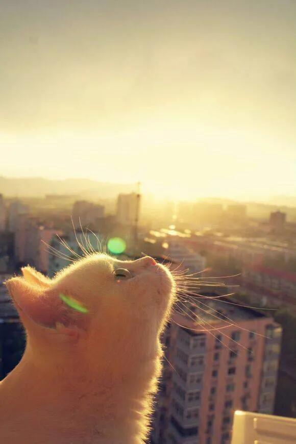 三观不合从不是婚姻破裂的原因,关于三观不合的几个真相