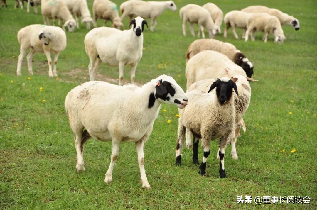 疫情期渡过危机：大企业靠财力，小企业靠什么？