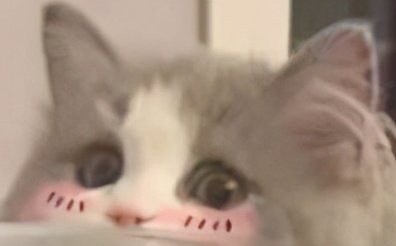 剑网3新号快速起装备,剑网3打金攻略2018