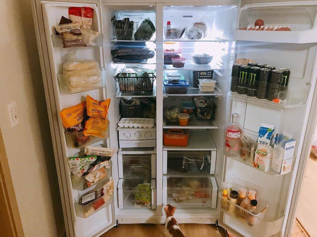 博世冰箱松下冰箱西门子哪个更好,冰箱选购指南家电购买攻略