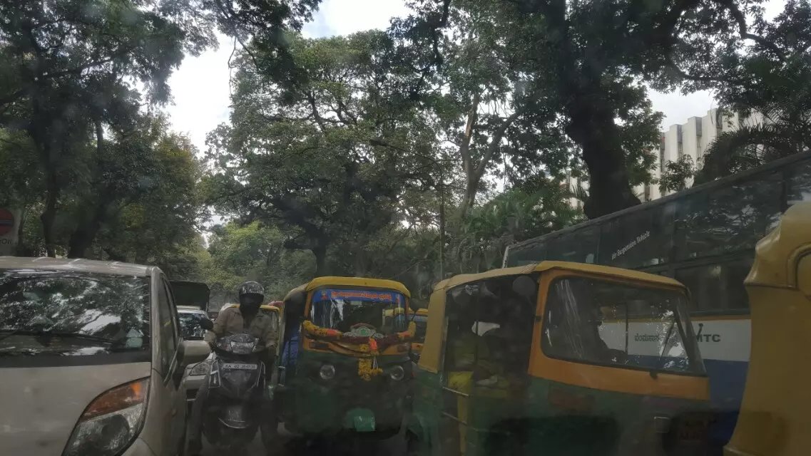 感受下真实的南印度-科技之城班加罗尔，外贸领域商业考察