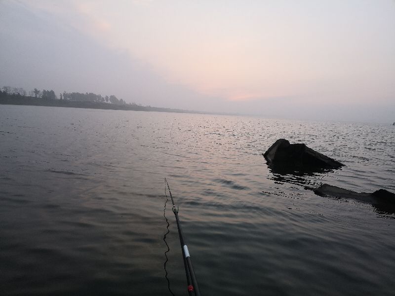 一味ex全能战比较,一味ex实测