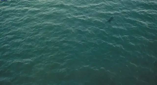 9.2分真人真事改编,豆瓣9.1的治愈神片