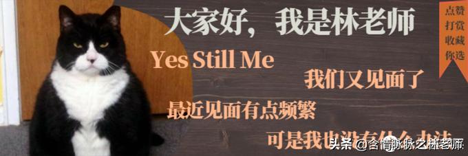 宽带4g叠加路由器推荐,宽带4g融合