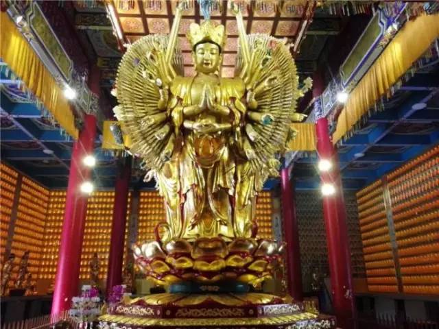 上海可以一路玩下来的地铁线,上海最新41条地铁