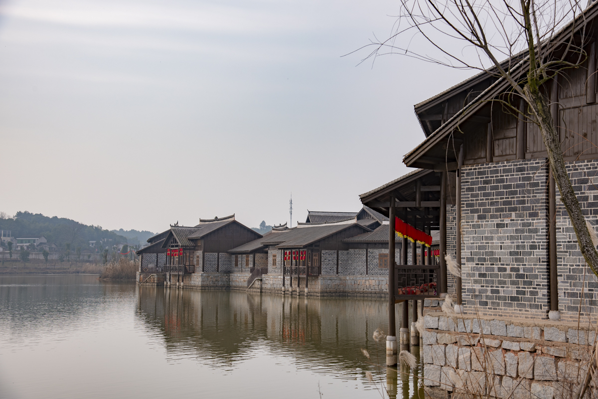 洋湖国家湿地公园,洋沙湖国家湿地公园马鞭草