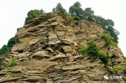 画说回龙观,北京最漂亮的森林公园