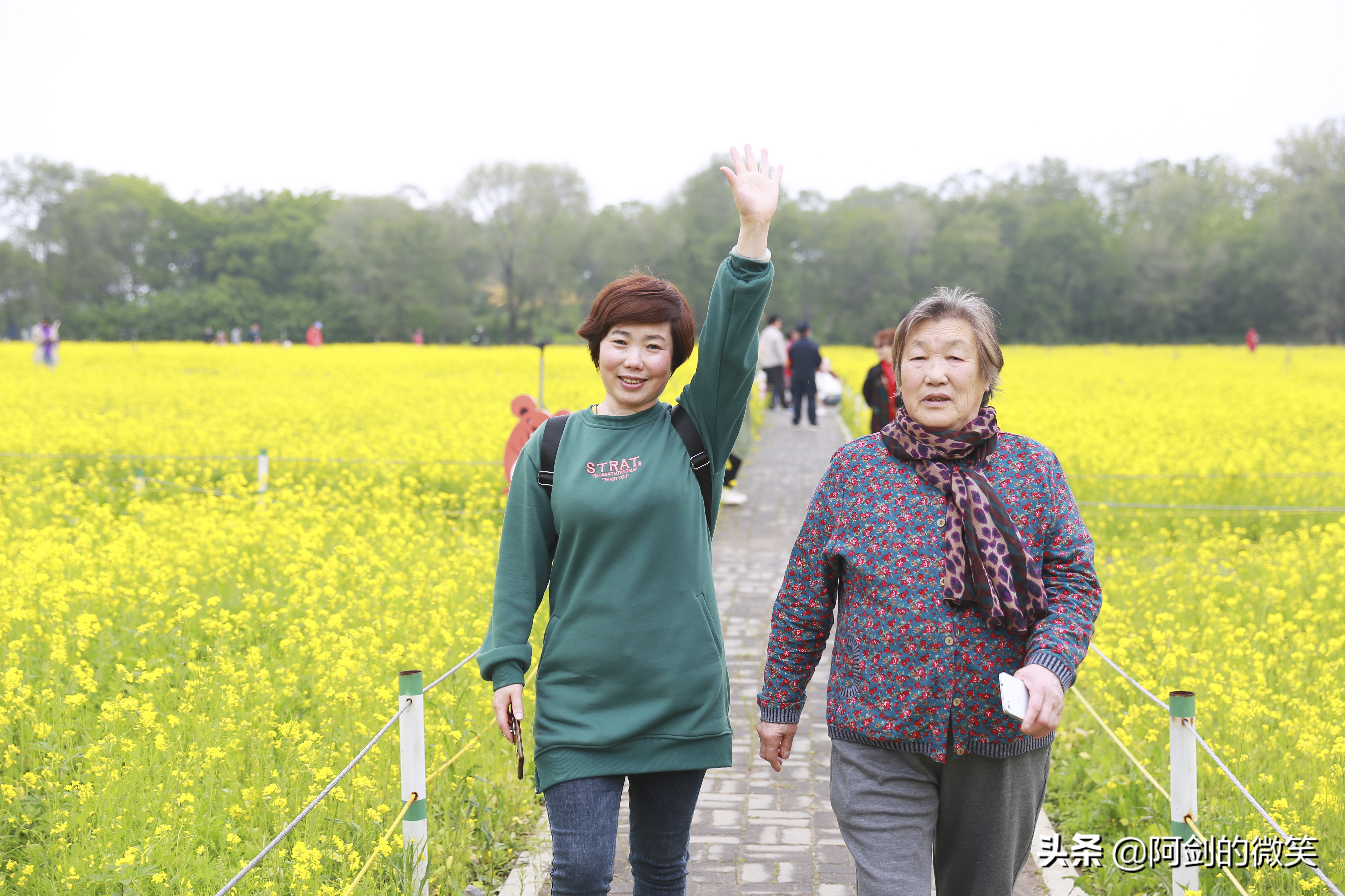 沈阳十一假期哪里有花海,沈阳玫瑰小镇温泉花海两日游