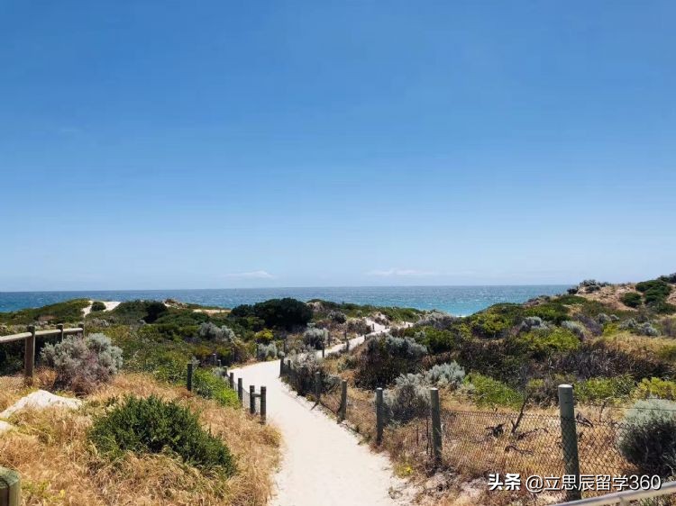 在澳洲留学生真的很难吗,去澳洲留学最好的学生是