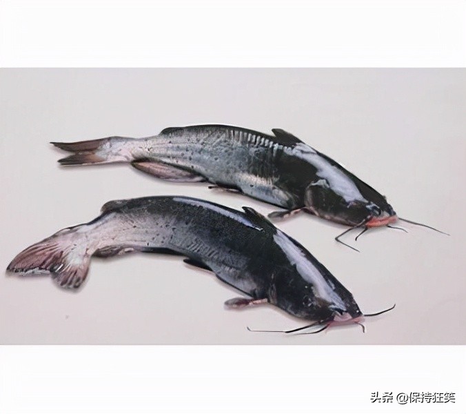 贵州比较出名的特产有哪些,贵州有哪些特产贵州最有名的特产