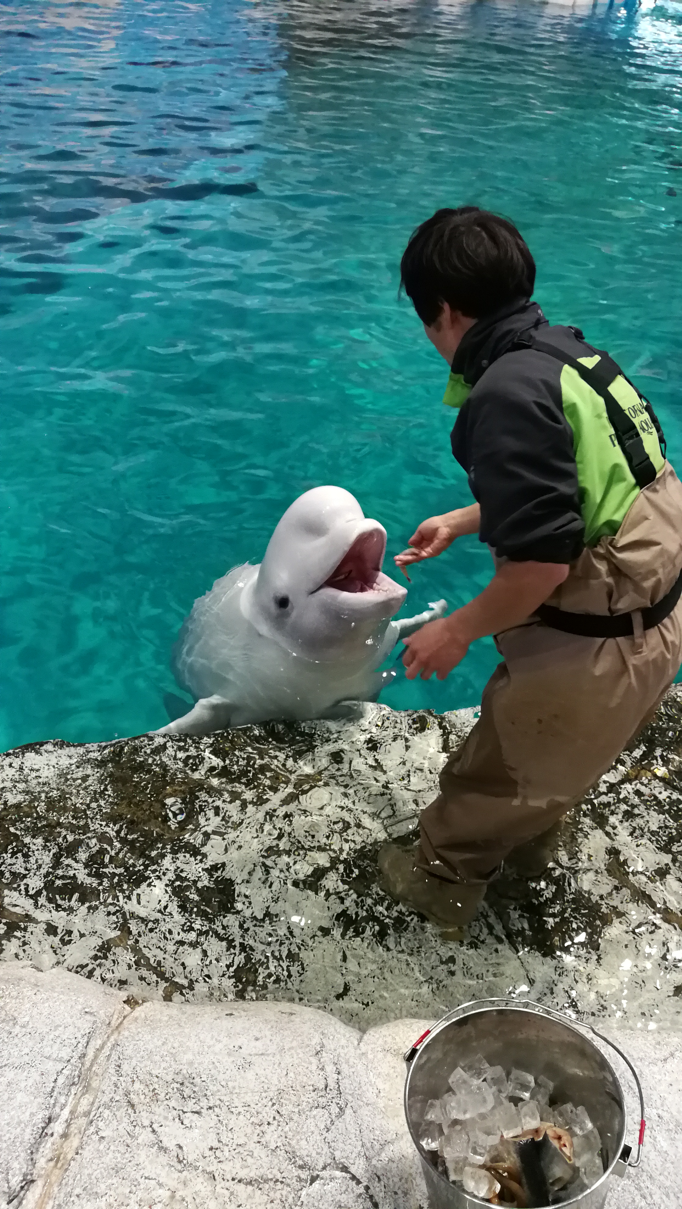 名古屋乐高乐园门票,日本名古屋乐高主题乐园