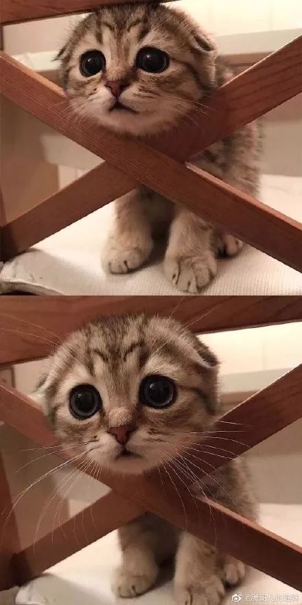 游戏里被绿了怎么办,在游戏中被绿