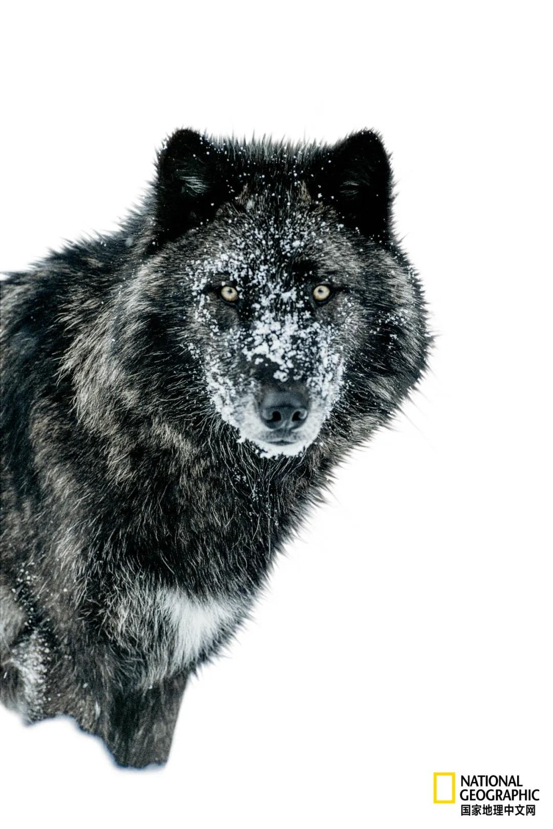 我们的地球很老了吗,地球还能再活几岁