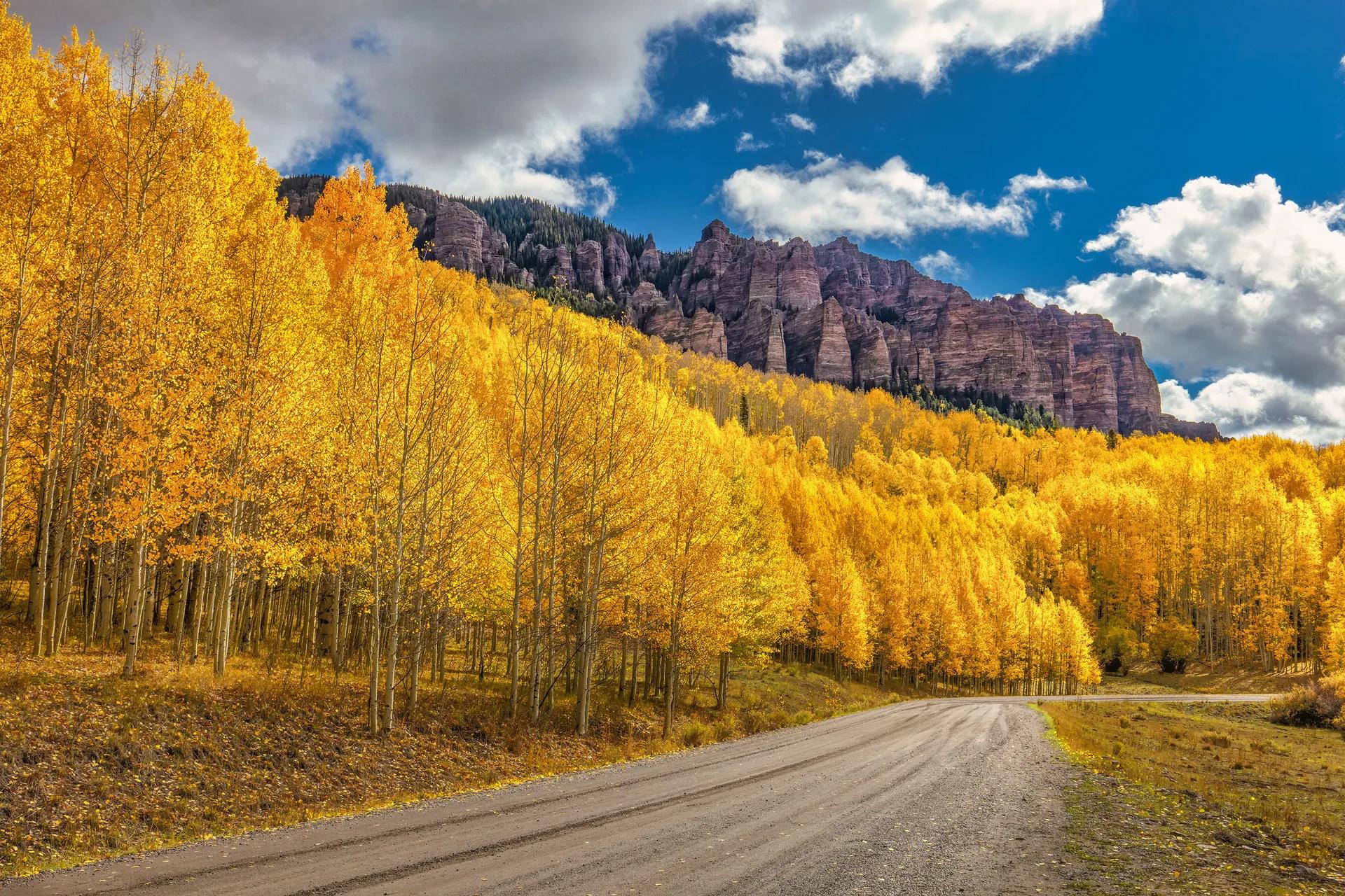 苦情电影解说9.0以上评分,十部顶级9.5评分动作电影