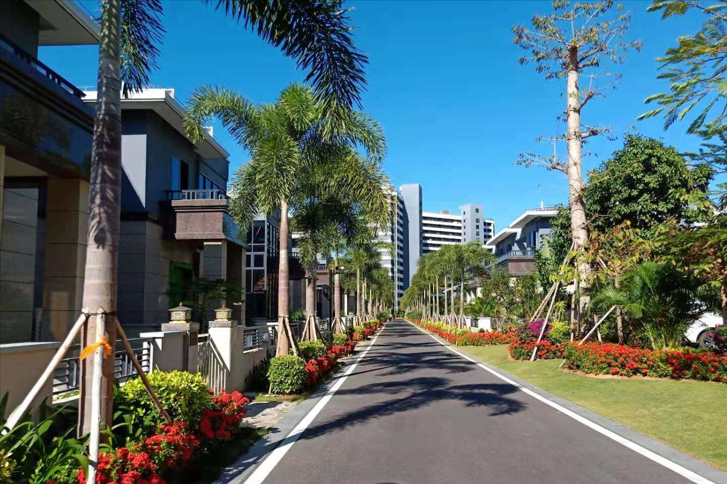 海南东方一线海景房开间,海南东方最好的海景房一套多少钱