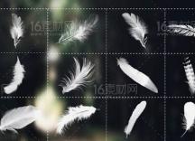 ps笔刷怎么安装？PS笔刷刷免费*载下**ps快捷键命令大全淘宝美工