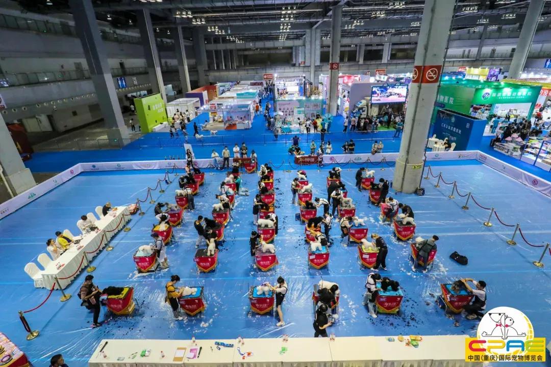 第二届天一重庆国际宠博会,宠博会重庆2020