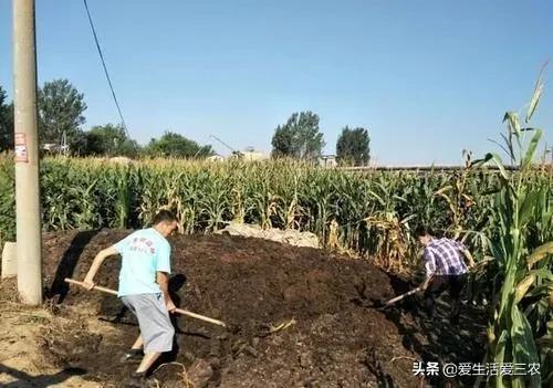 在农村如何致富,农村也能致富的小妙招