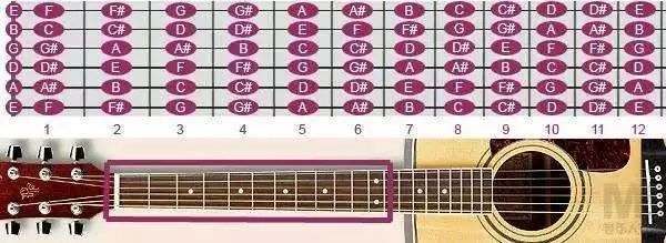 新手记不住和弦怎么办,和弦按不住是因为手小吗