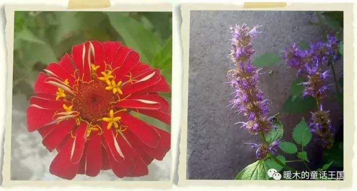 那是我的故乡英文,那是我的故乡完整版