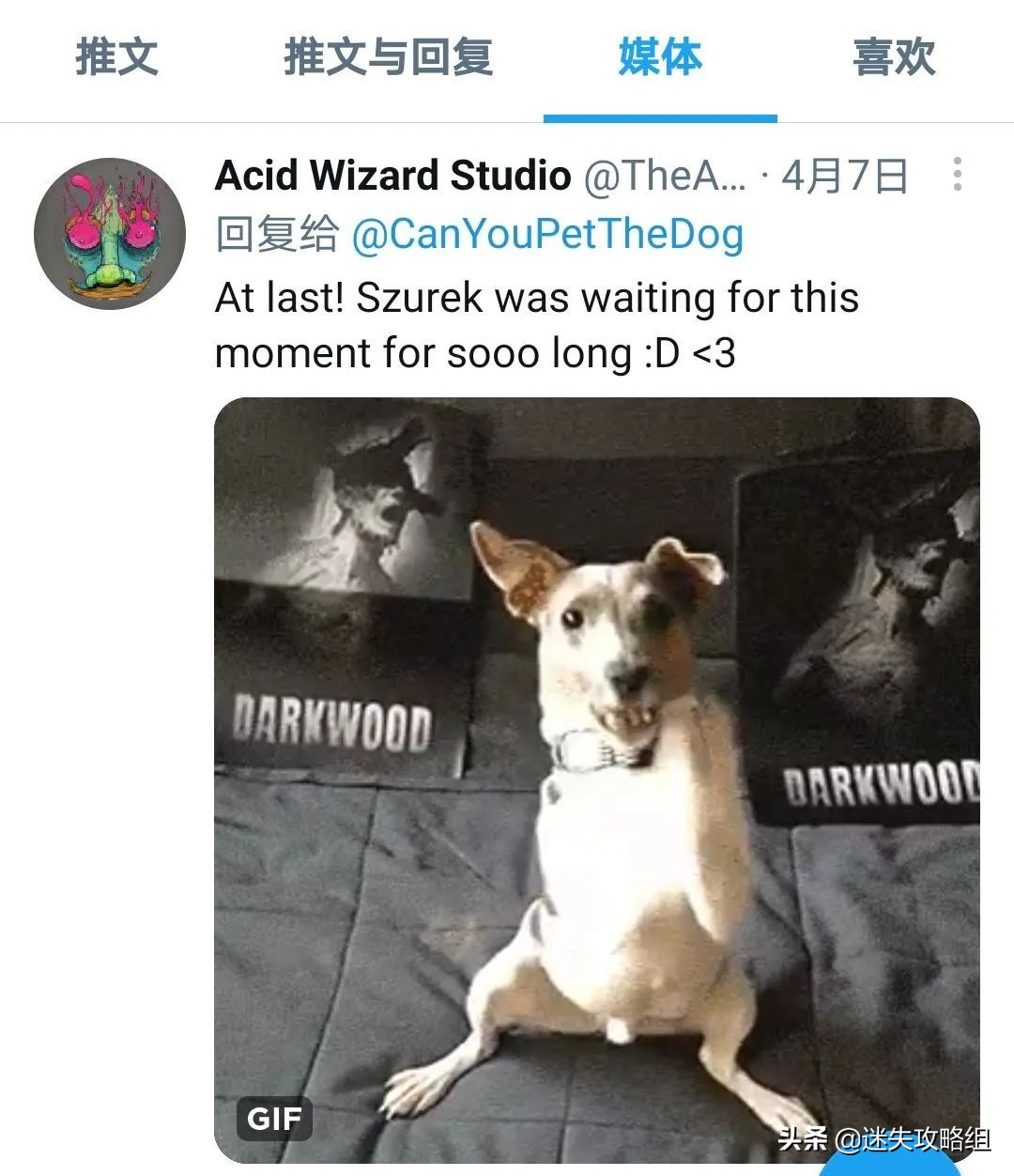 阴暗森林游戏的背景,阴暗森林游戏解析