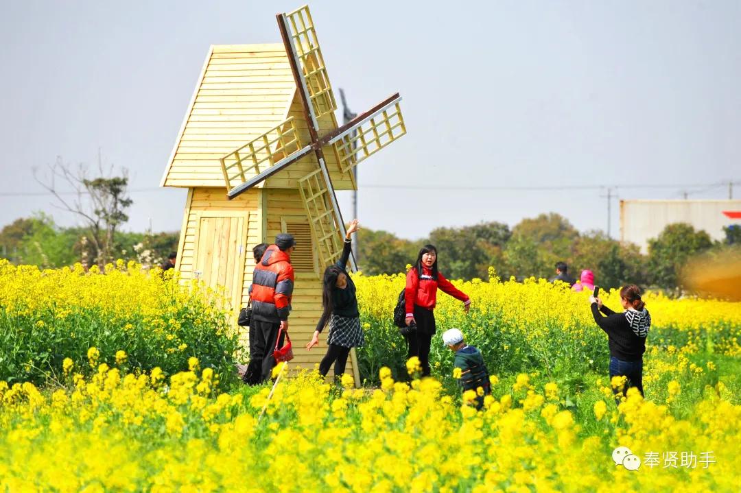 奉贤区南桥镇旅游景点,上海奉贤景点推荐一日游最佳路线