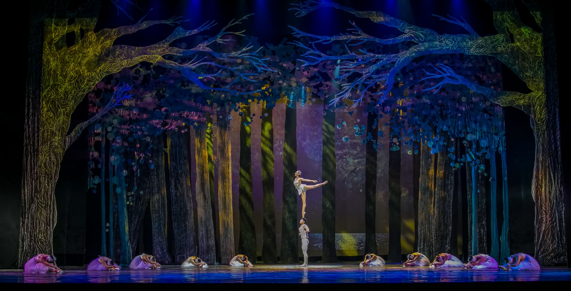 西安战旗杂技团天鹅湖,战士战旗杂技团天鹅湖