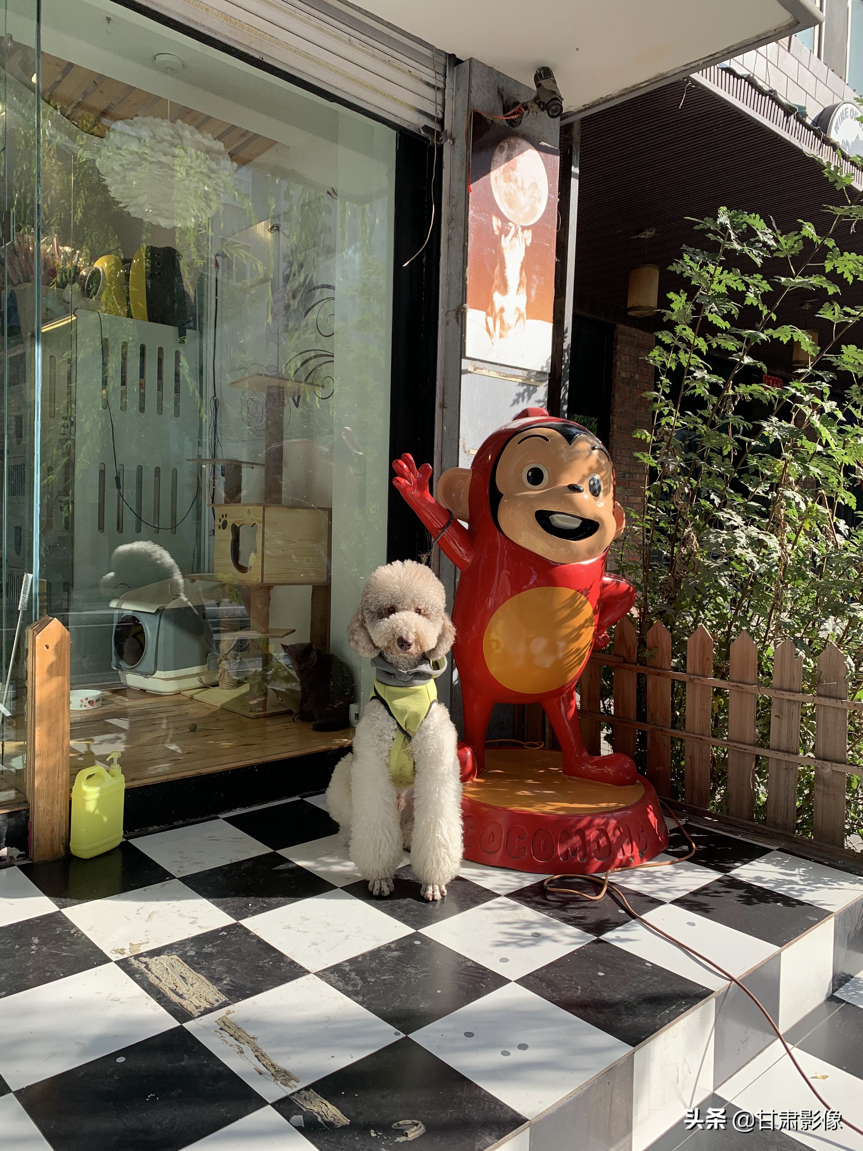 告别2021年的夏天手机摄影,简单手机摄影2020不平凡的一年