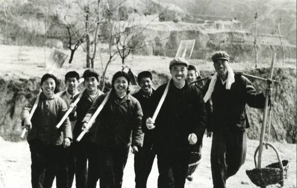 父母亲的故事,回忆父母真实故事