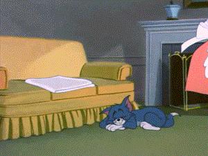 二十年后的汤姆猫,许多年后汤姆猫