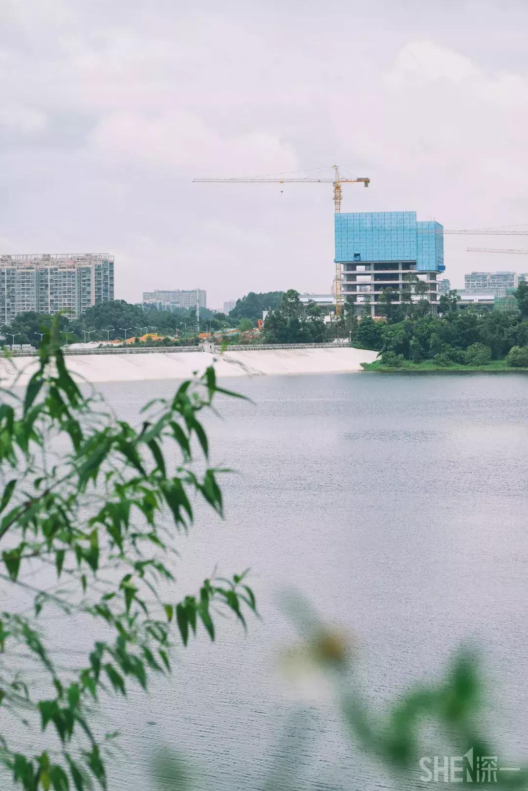 深圳市美美美,深圳最美免费水库