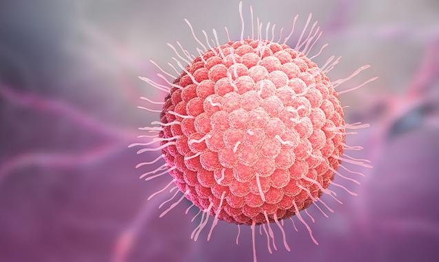 疫苗相关问答,水痘疫苗流程