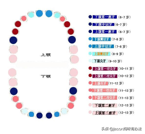 宝宝换牙门牙不齐怎么办,孩子换牙这个阶段不重视