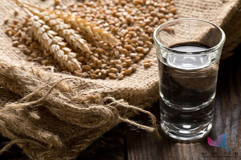 探访酱香型白酒的七大特点有哪些,万万没想到茅台酱香酒