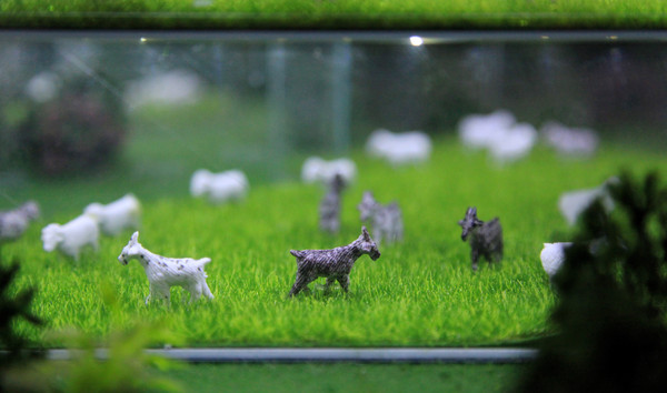 春游江淮请你来滁州版,春游江淮等您来