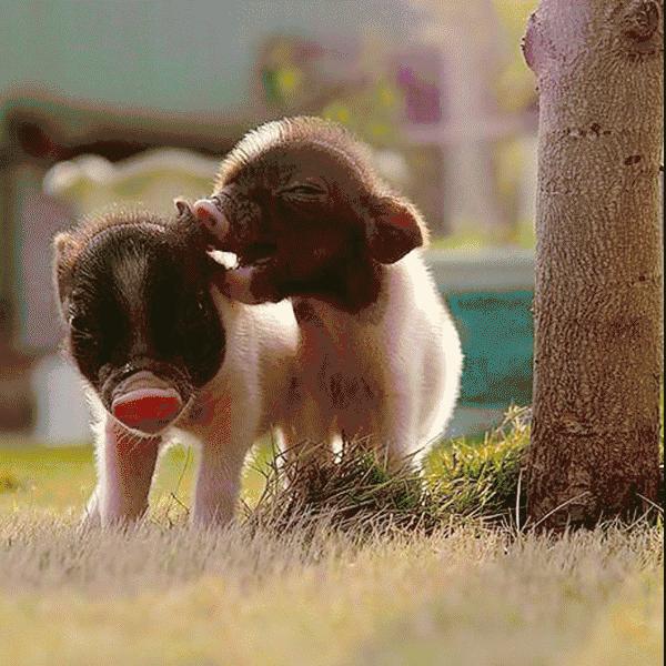 北京庄园旅游景点推荐,北京亲子庄园游玩推荐