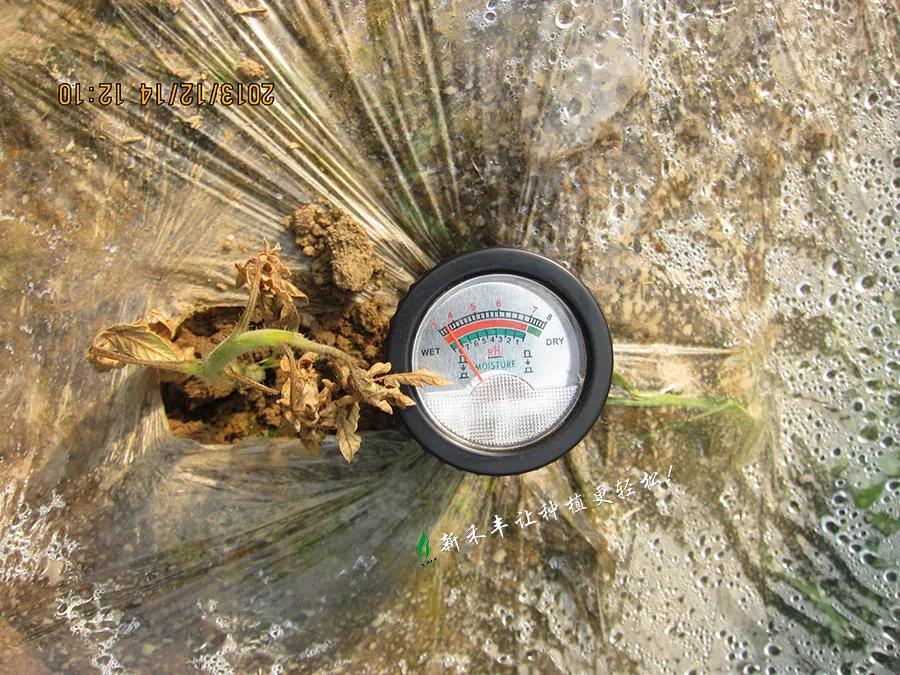 土壤ph值表示酸度改良,土壤酸化怎么调酸度