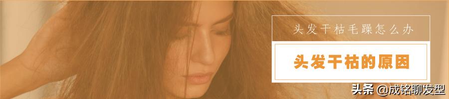 头发干枯毛躁用什么洗发水柔顺,头发干枯毛躁可以用蓬松洗发水吗