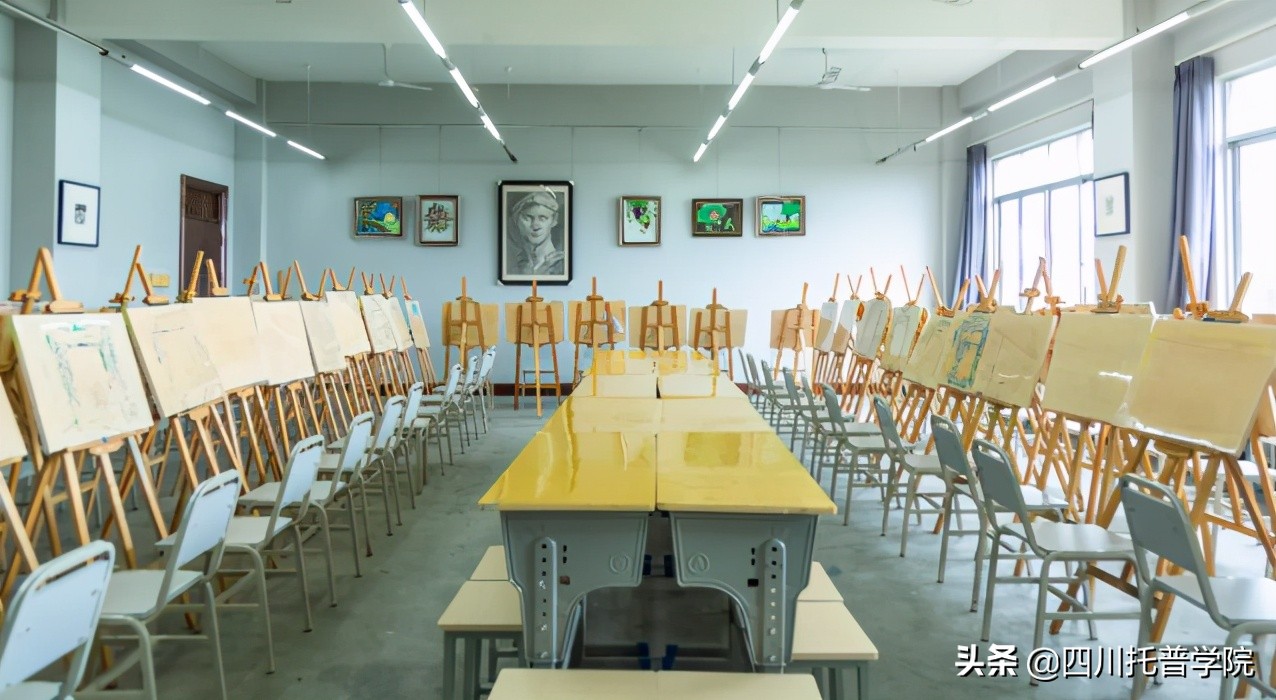 四川省托普信息职业技术学院单招,四川省托普学院单招考试大纲