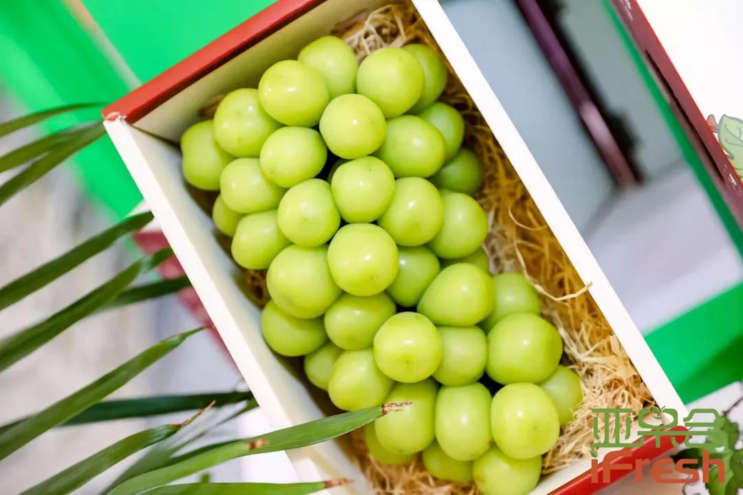 第14届亚洲if果蔬博览会,ifresh果蔬博览会