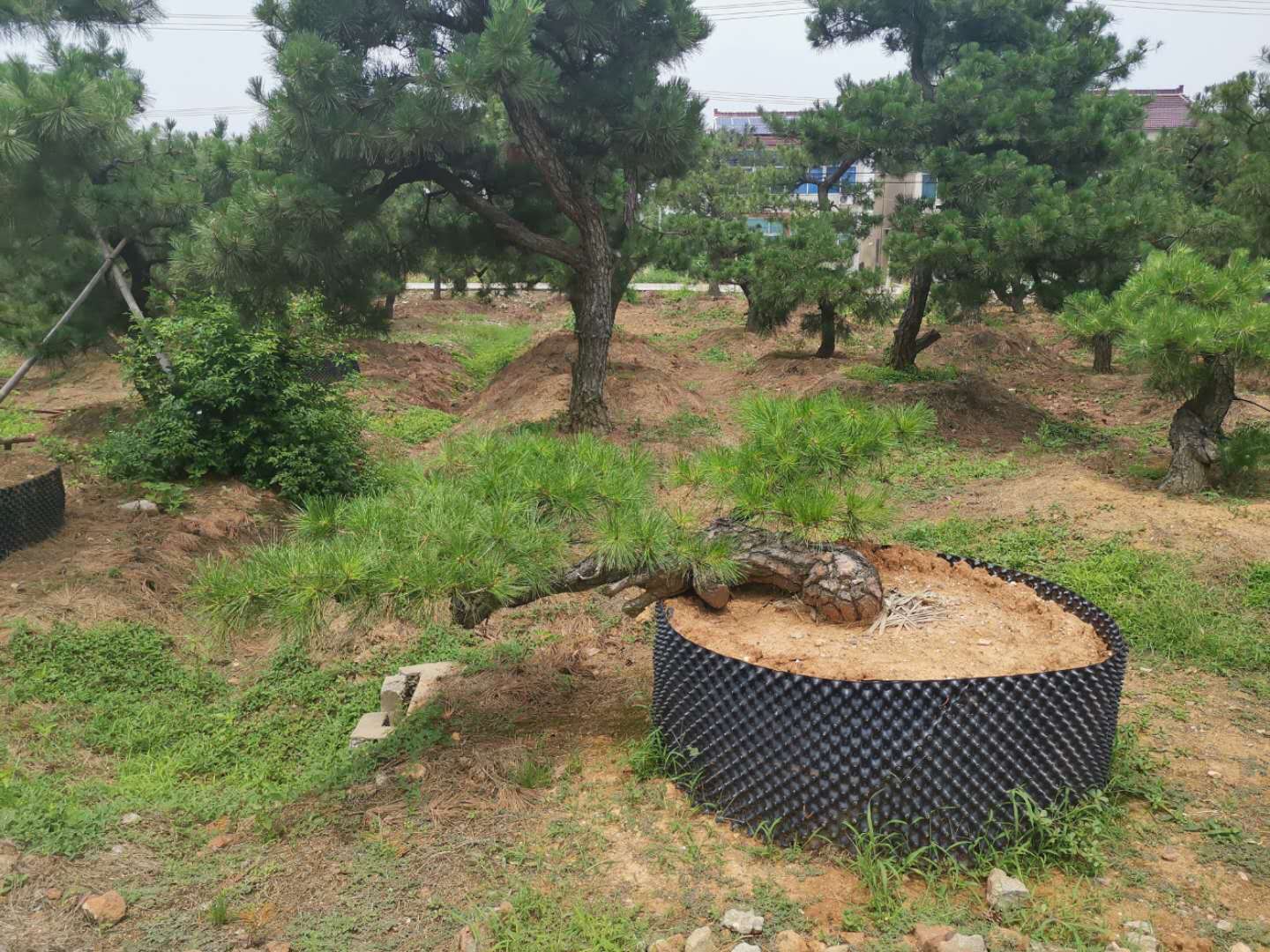 叹为观止自然风景,叹为观止高清图