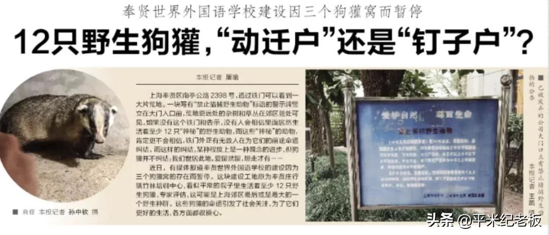 新建校到底埋了多少坑？避坑的时间到了