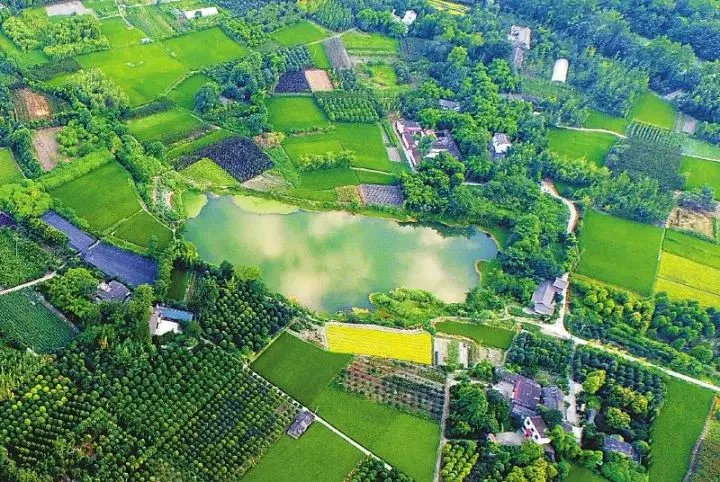 前所未有开新篇成都建设大美公园城市