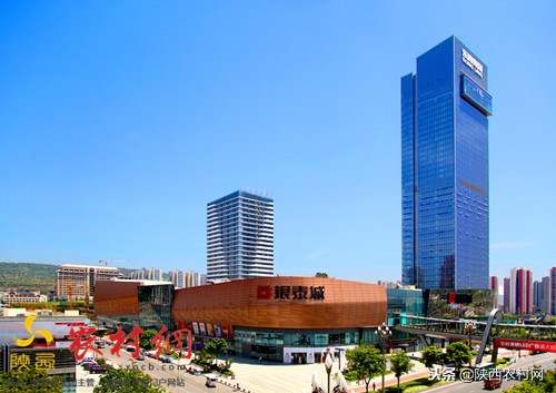 宝鸡东岭西部第一村,陕西宝鸡东岭村简介